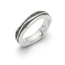 Ring Welle